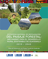 1. PEstrategia Nacional Restauración Paisaje Forestal